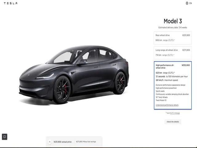 Tesla Model 3 Performance Sale In China