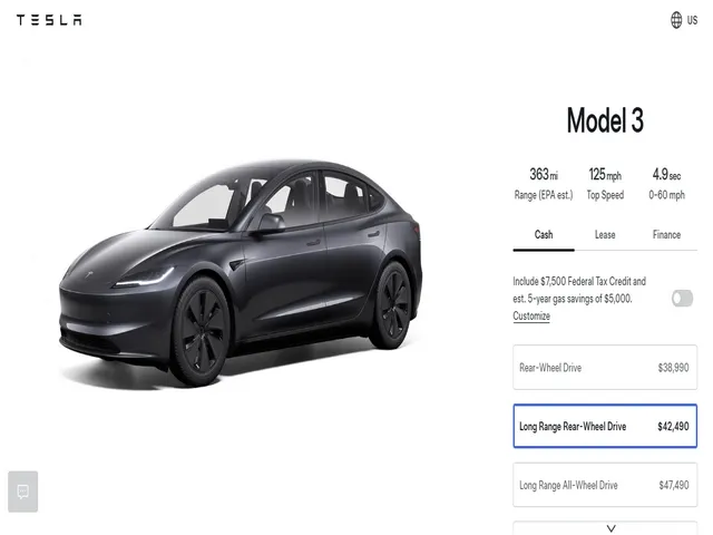 Tesla Model 3 Long Range Rear-Wheel Drive on Website